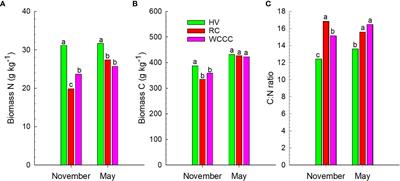 Impacts of summer-seeded legume cover crops and termination-tillage method on nitrogen availability to corn in rotation